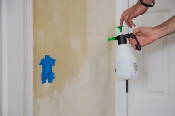Wallpaper Removal